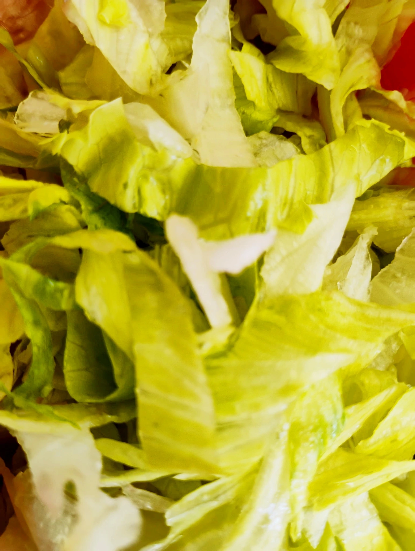 Fresh shredded iceberg lettuce close-up
