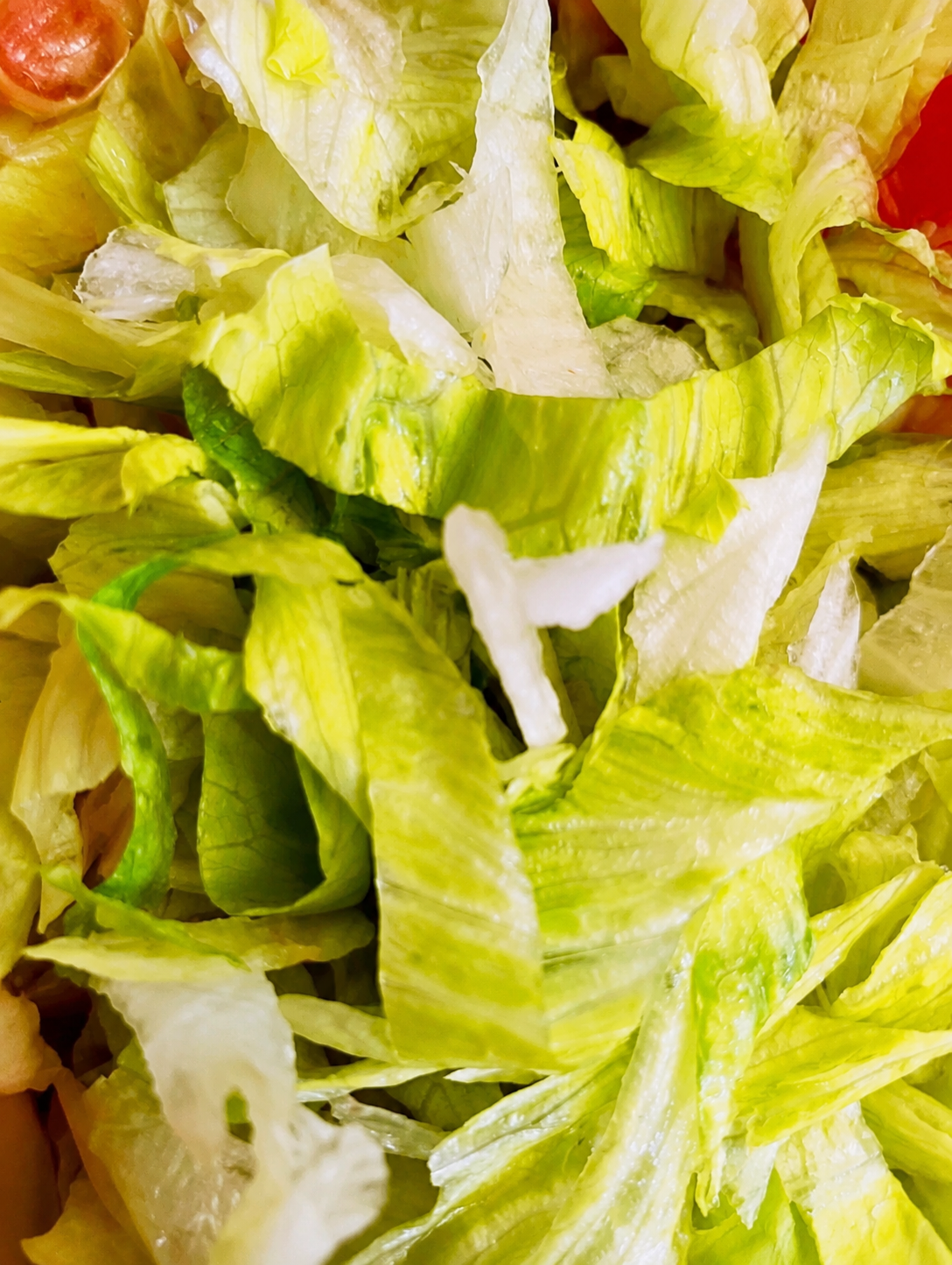 Fresh shredded iceberg lettuce close-up